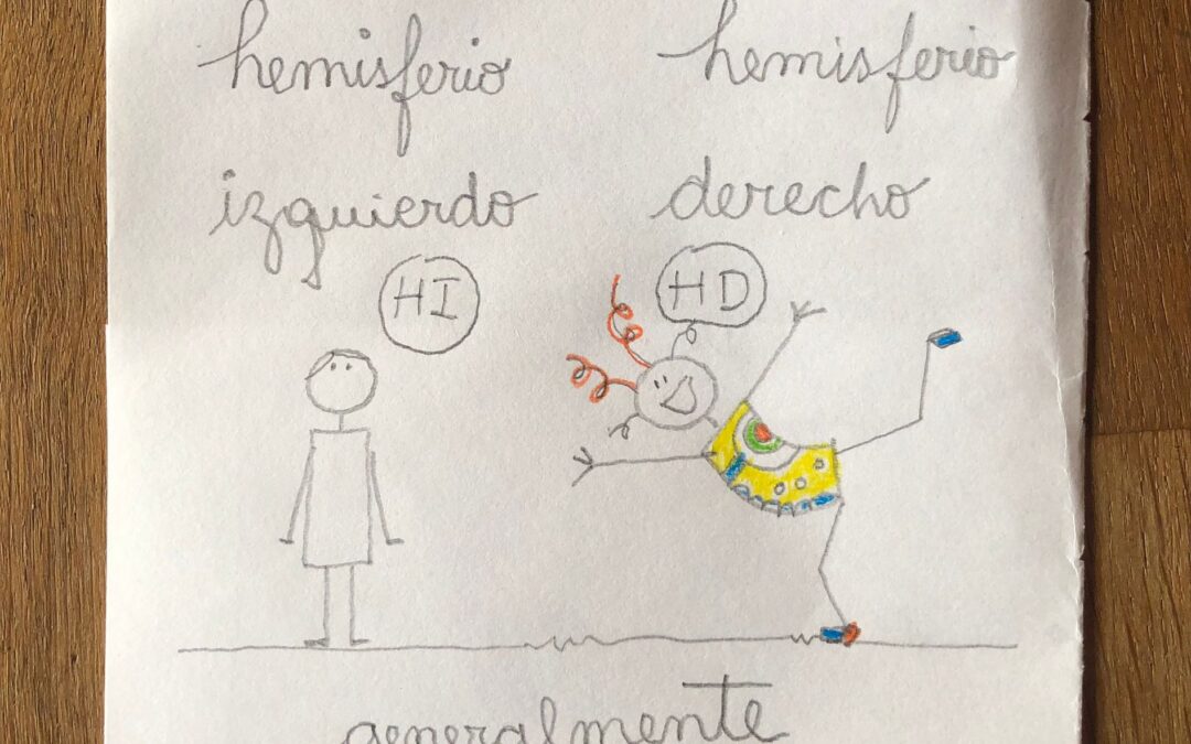 Conocer los hemisferios, mejora la comunicación